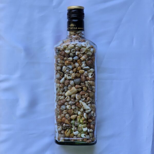 beauty-jar-13 צנצנת יופי 13c
