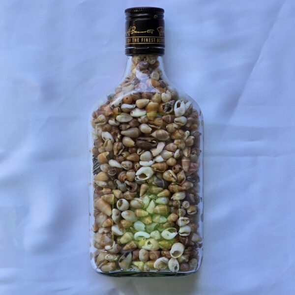 beauty-jar-14 צנצנת יופי 14c