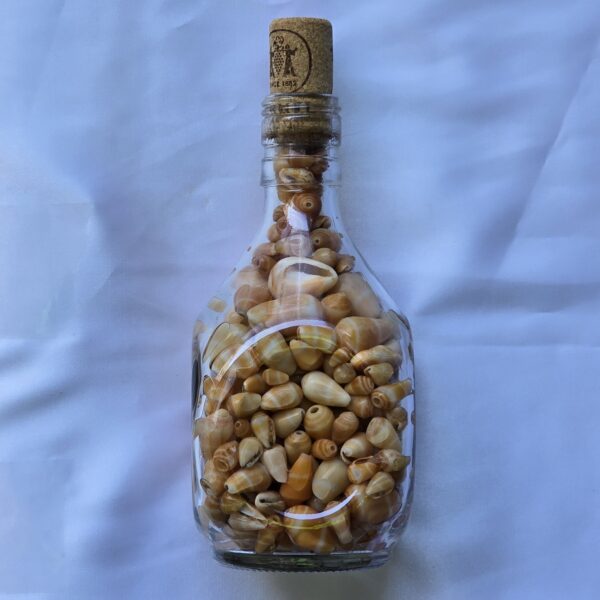 beauty-jar-15 צנצנת יופי 15c