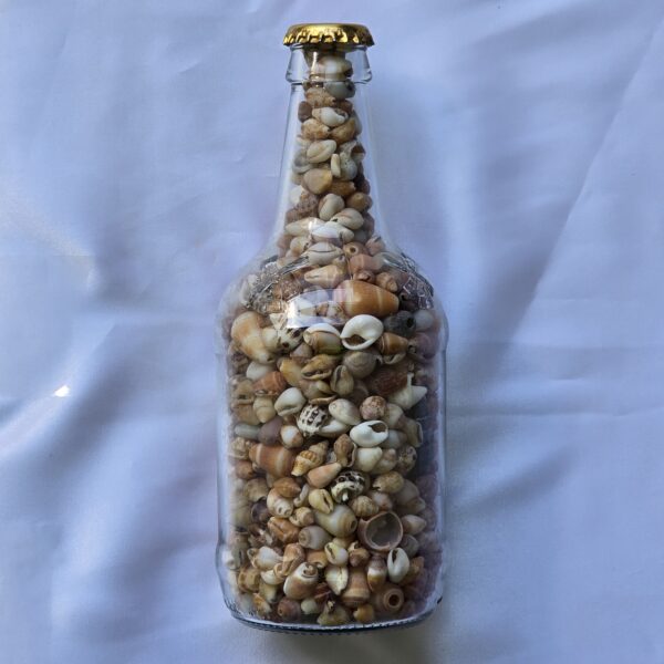 beauty-jar-17 צנצנת יופי 17c