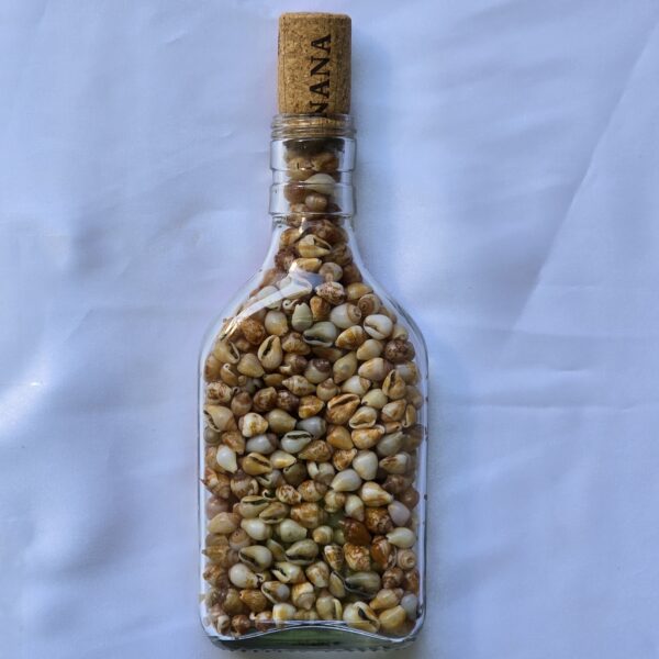 beauty-jar-18 צנצנת יופי 18c