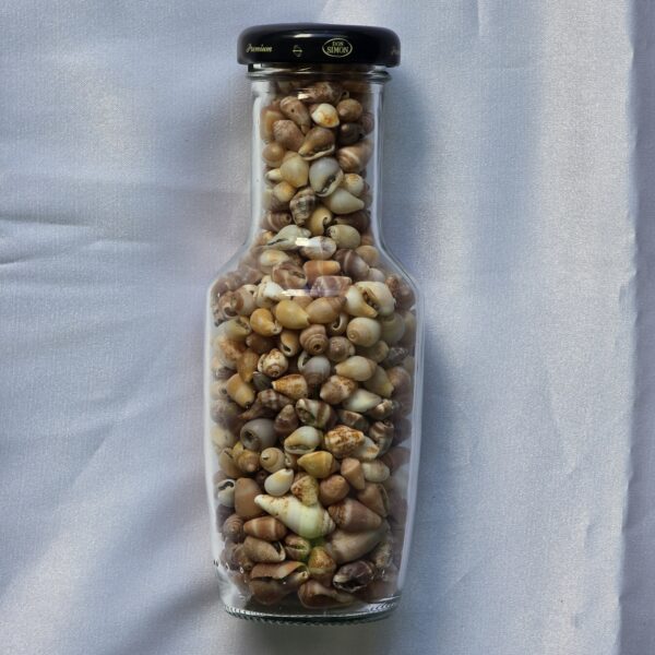 beauty-jar-20 צנצנת יופי 20c