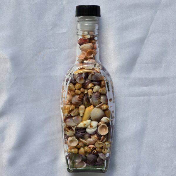 beauty-jar-23 צנצנת יופי 23c