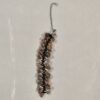 bracelet-1b צמיד צדף 1b