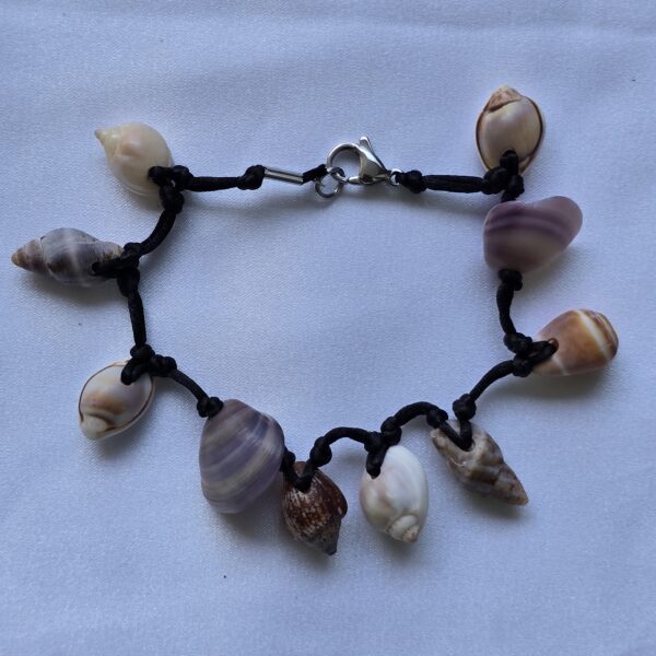 bracelet-5b צמיד צדף 5b