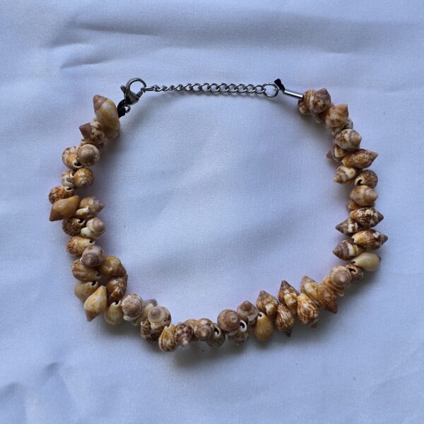 bracelet-6b צמיד צדף 6b