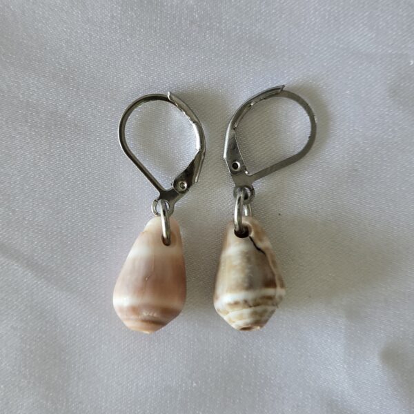 earring-10a עגיל צדף 10a