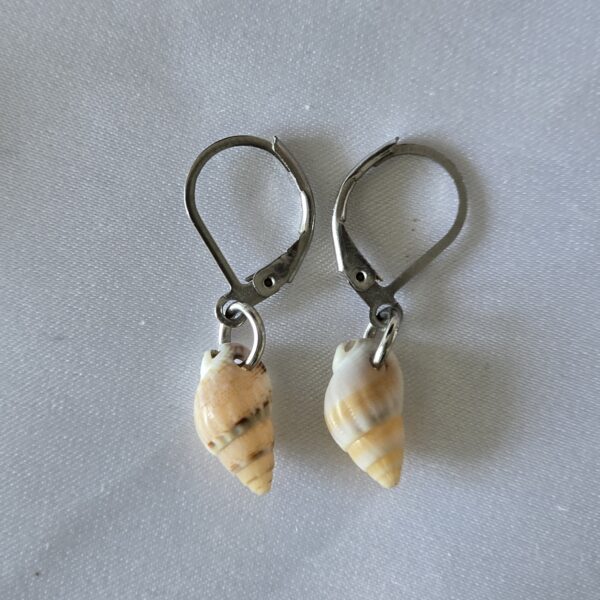 earring-12a עגיל צדף 12a