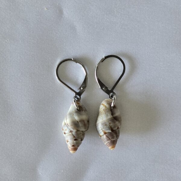 earring-19a עגיל צדף 19a