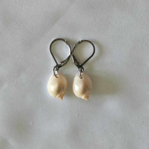 earring-1a עגיל צדף 1a