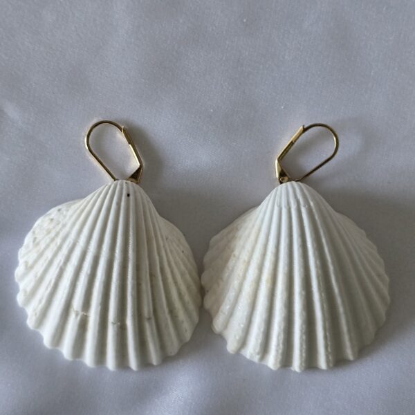 earring-21a עגיל צדף 21a