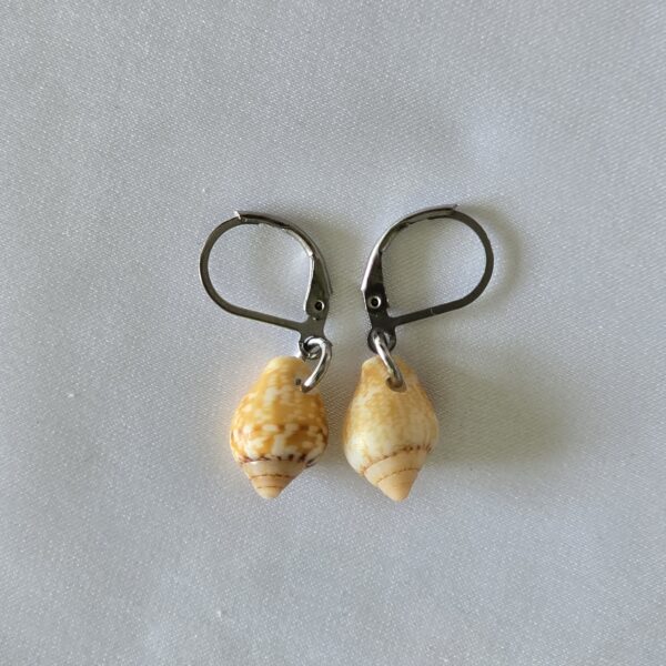 earring-22a עגיל צדף 22a