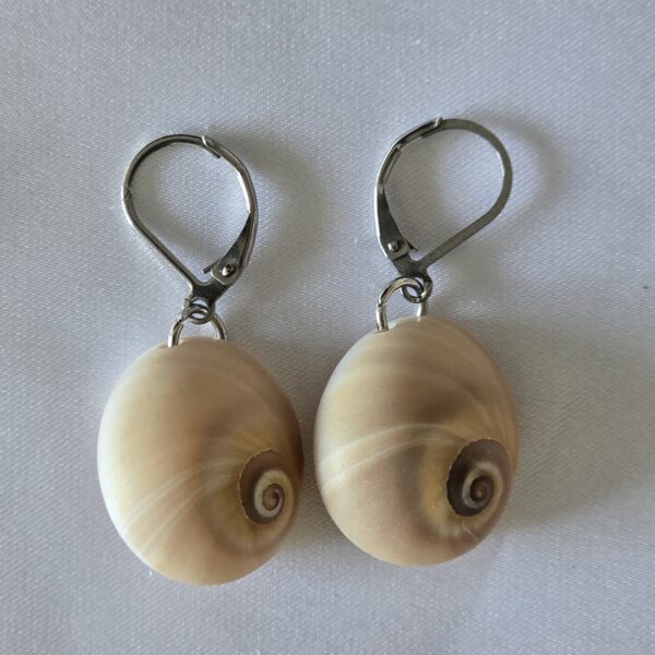 earring-2a עגיל צדף 2a