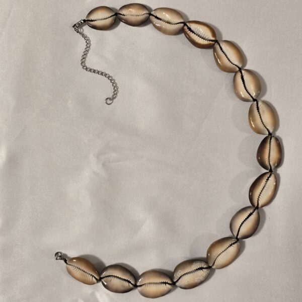 shell-necklace-c60 שרשרת צדפים C60