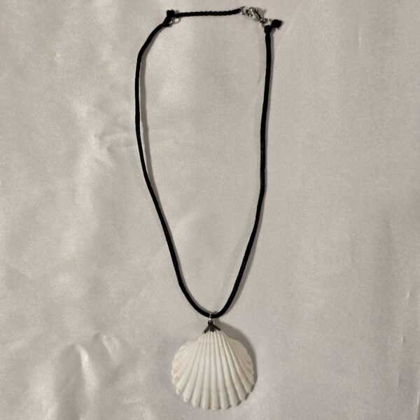 shell-necklace-c61 שרשרת צדפים C61