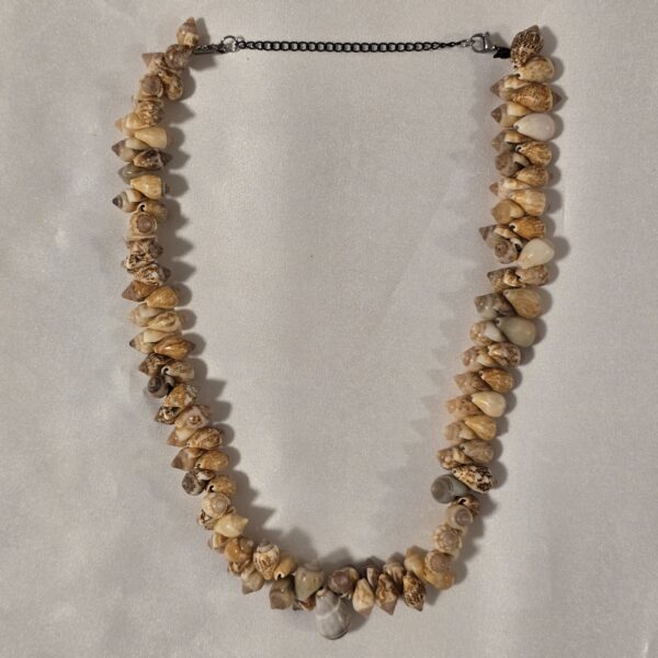 shell-necklace-c62 שרשרת צדפים C62