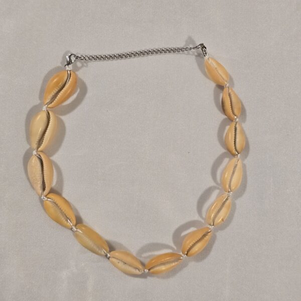 shell-necklace-c65 שרשרת צדפים C65